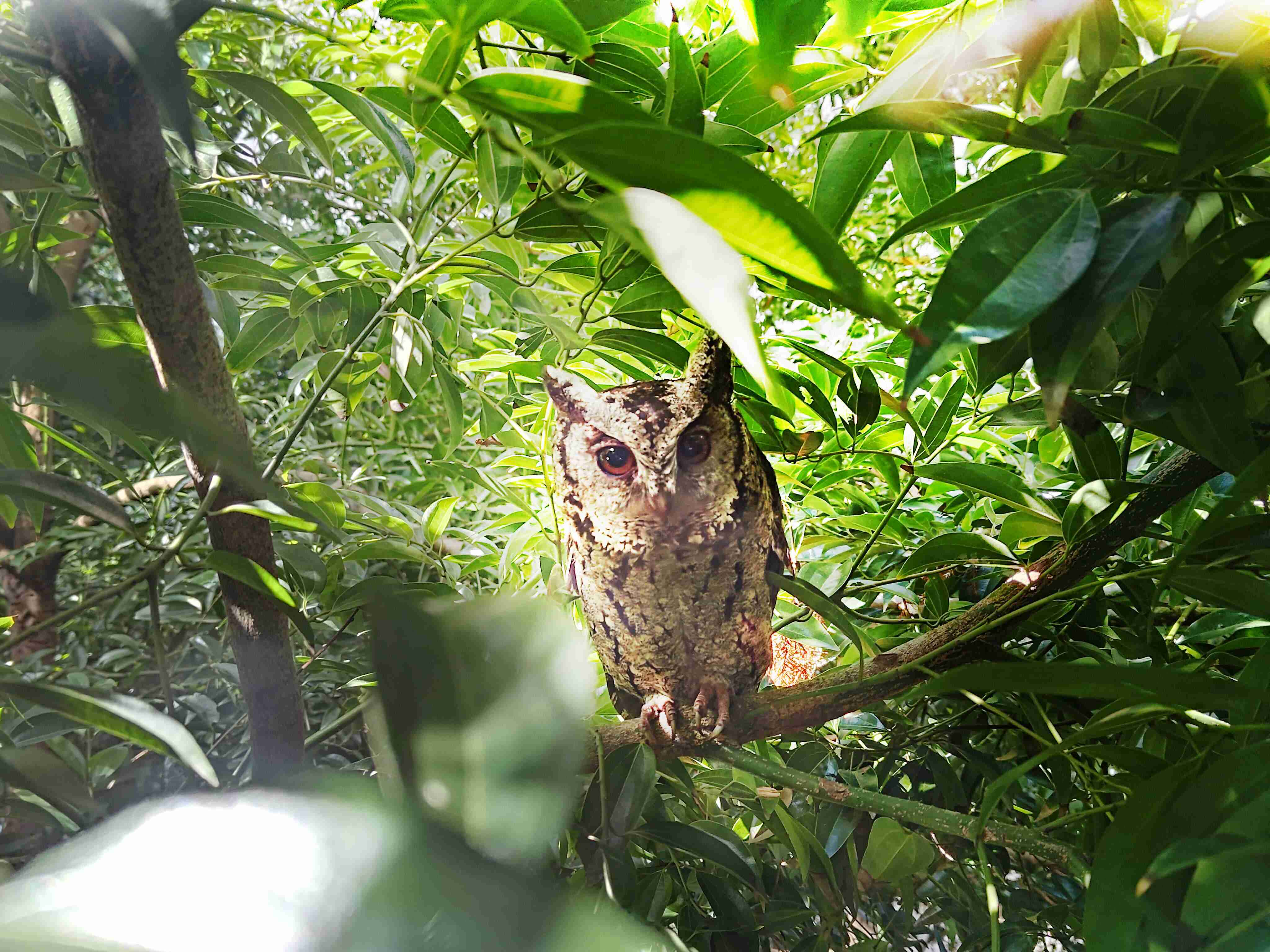 918.COM致力提倡净零绿生活，，，，16年以来在全球各厂区植树逾百万棵，，，造就各厂区树木蔚然成林，，犹如森林工厂，，，，成为许多生物的栖息地